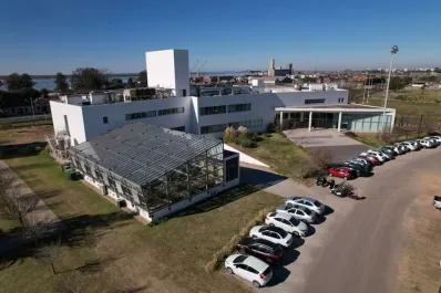 Crisis y default: cayó en cesación de pagos Bioceres SA, pionera de una empresa referente del agro