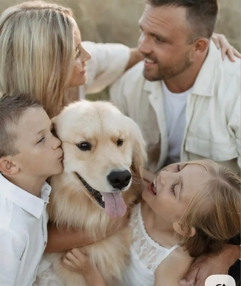 Mundo pet: amor incondicional y mercado millonario