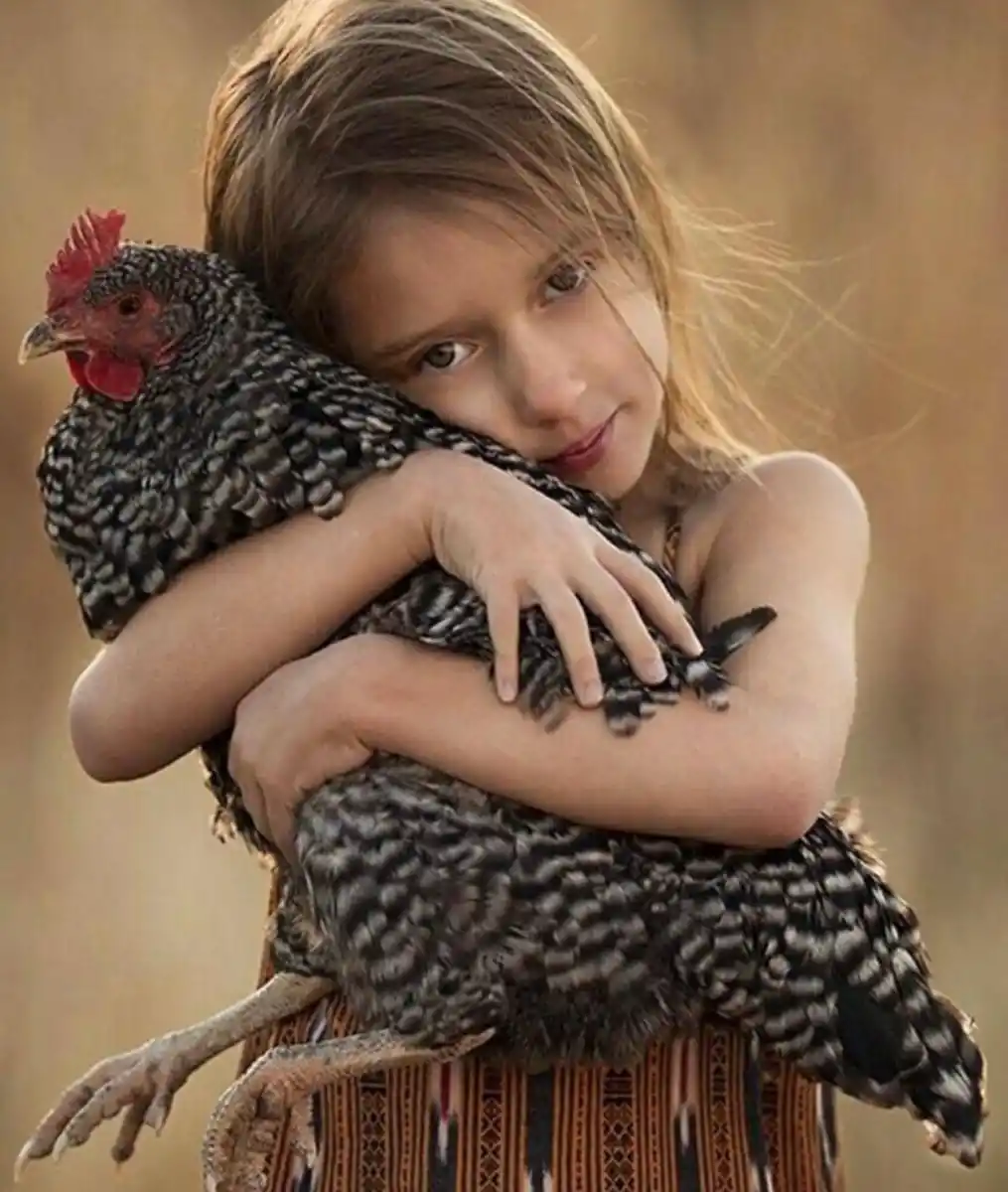 Mundo pet: amor incondicional y mercado millonario