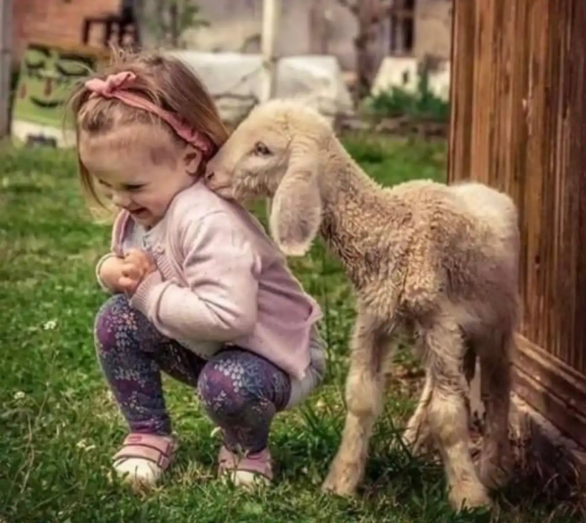 Mundo pet: amor incondicional y mercado millonario