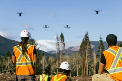 Canadá: reforestan bosques incendiados con drones