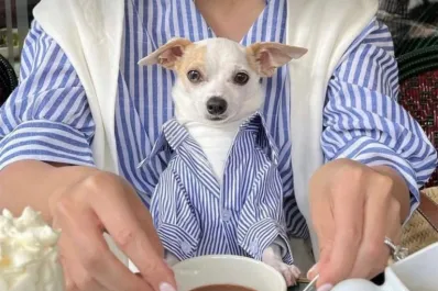 Mundo pet: amor incondicional y mercado millonario