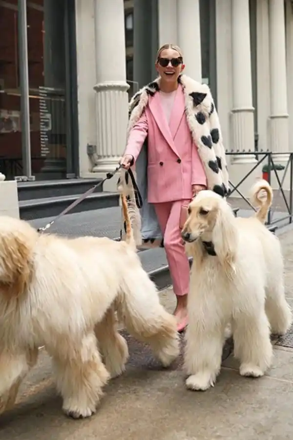 Mundo pet: amor incondicional y mercado millonario