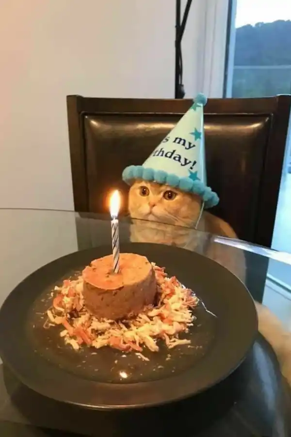 Mundo pet: amor incondicional y mercado millonario