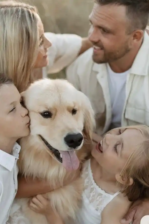 Mundo pet: amor incondicional y mercado millonario