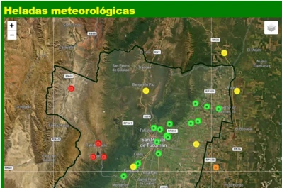 Cómo impactaron las heladas en los cultivos