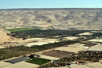 El oasis chileno que está a 20 minutos de Arica y esconde una sorprendente joya arqueológica