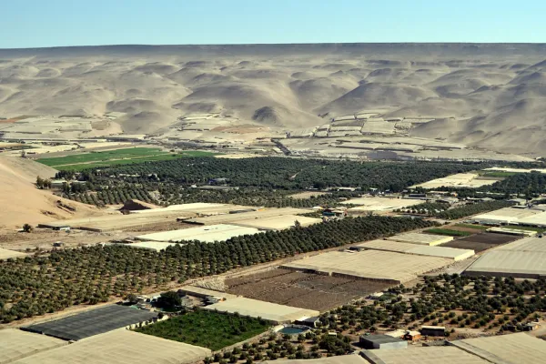 El oasis chileno que está a 20 minutos de Arica y esconde una sorprendente joya arqueológica