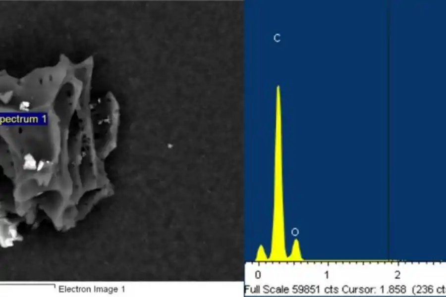 PRODUCTO DEL TIEMPO DE ZAFRA. En primer plano se ve una partícula que es rica en carbono, por lo que proviene de la quema de biomasa.