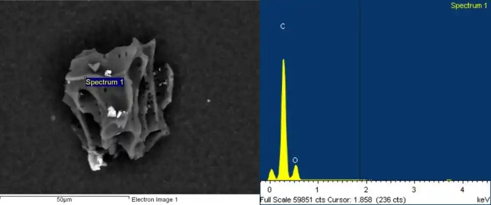 PRODUCTO DEL TIEMPO DE ZAFRA. En primer plano se ve una partícula que es rica en carbono, por lo que proviene de la quema de biomasa.