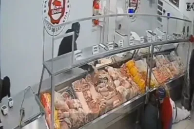 Entraron a robar una carnicería: antes de irse, los ladrones se eligieron un corte de carne