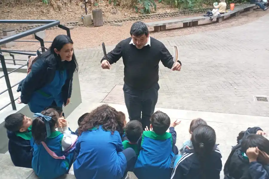 AVES. En la Fundación Miguel Lillo los niños aprendieron sobre los diferentes tipos de pluma. FOTO: GENTILEZA ESCUELA 9 DE JULIO
