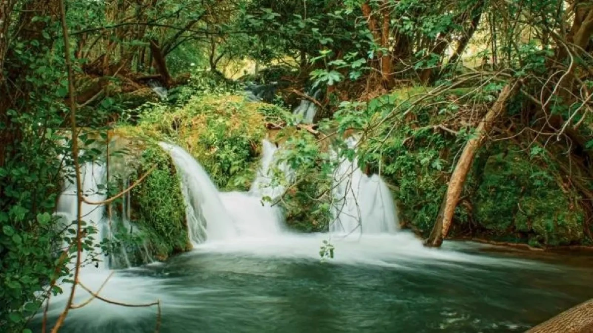 Sevilla: dos rutas de senderismo entre las mejores de España