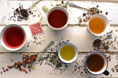 Infusiones con poder: tés e ingredientes naturales que fortalecen el sistema inmune