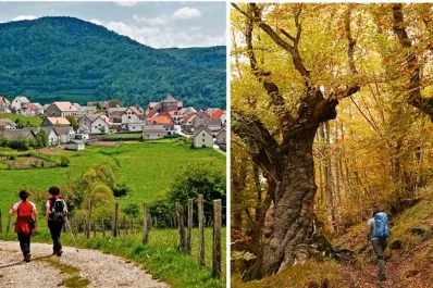 Rutas de senderismo por la Selva de Irati: naturaleza y leyenda en Navarra