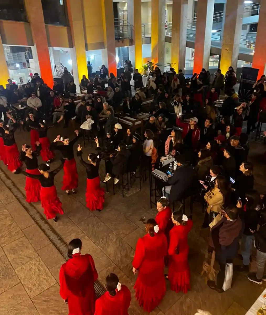 EDICIÓN ANTERIOR. Además de las clases, Derecho sin Receso incluye una agenda cultural complementaria.