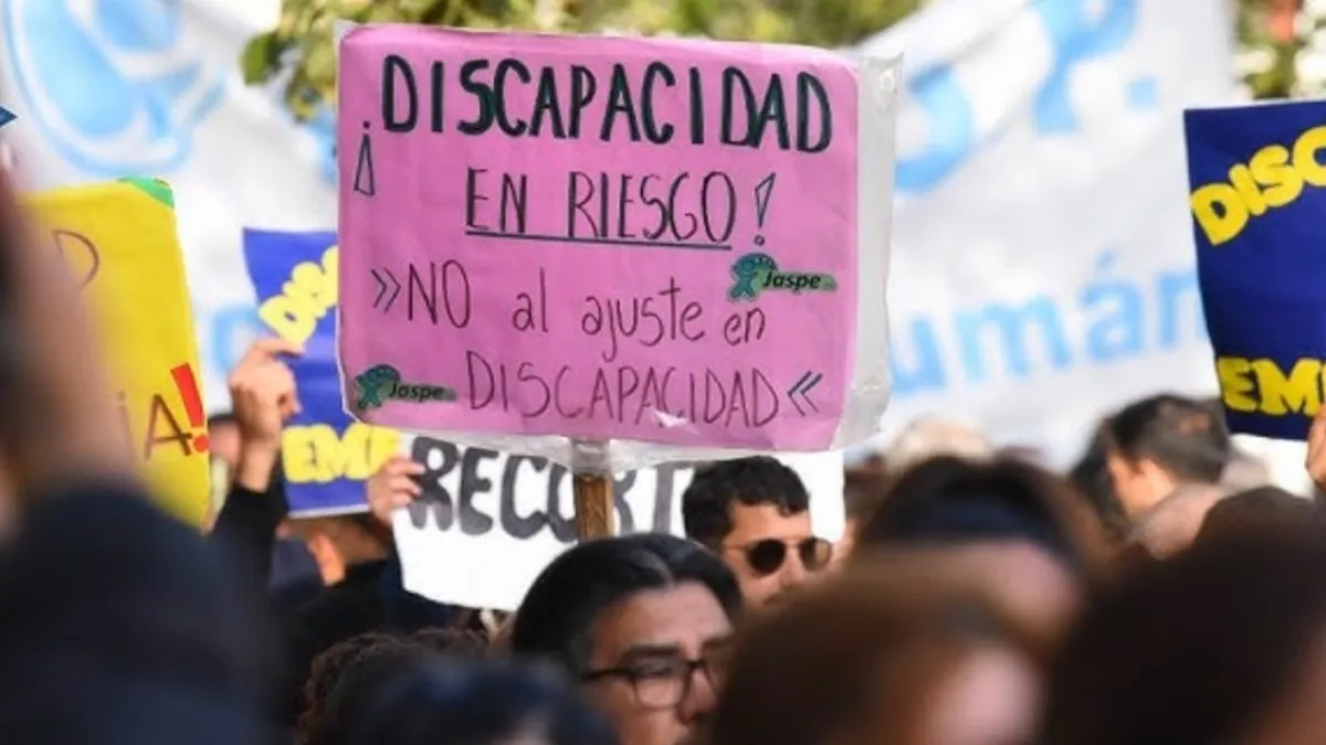 Se aprobó por unanimidad la emergencia en discapacidad: qué contempla la ley