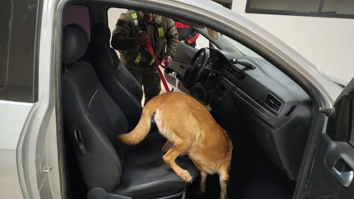 Tucumán: detectan que dos camionetas que viajaban juntas estaban cargadas con 106 kilos de cocaína