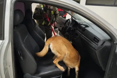 Tucumán: detectan que dos camionetas que viajaban juntas estaban cargadas con 106 kilos de cocaína