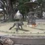 Daños en la plaza Independencia tras el 9 de Julio: Este año hubo mucho más vandalismo