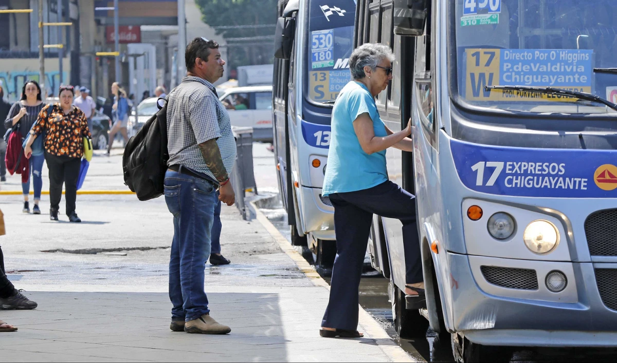 Rebaja de transporte para adultos mayores: se puede acceder a un descuento del 50% del pasaje