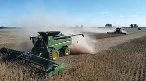 La cosecha de soja 2024/2025 alcanzó los 49,9 millones de toneladas