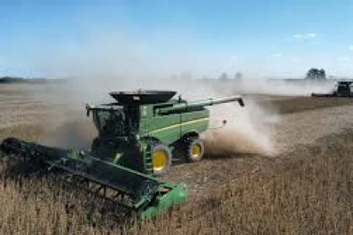 La cosecha de soja 2024/2025 alcanzó los 49,9 millones de toneladas