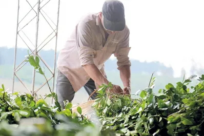 El gremio de un sector clave rechazó una oferta paritaria del 2% y se declaró en alerta