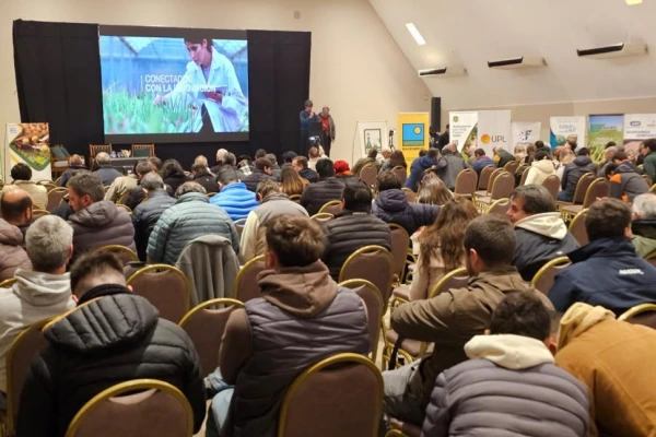 Entre las campañas 2023/24 y 2024/25 cayó la secuencia soja-barbecho-maíz-barbecho-soja