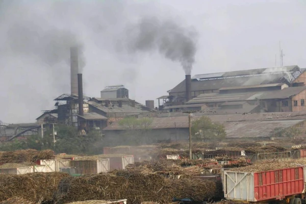 Zafra 2025 en Tucumán: la molienda avanza con un 90% y supera los 15,7 millones de toneladas de caña