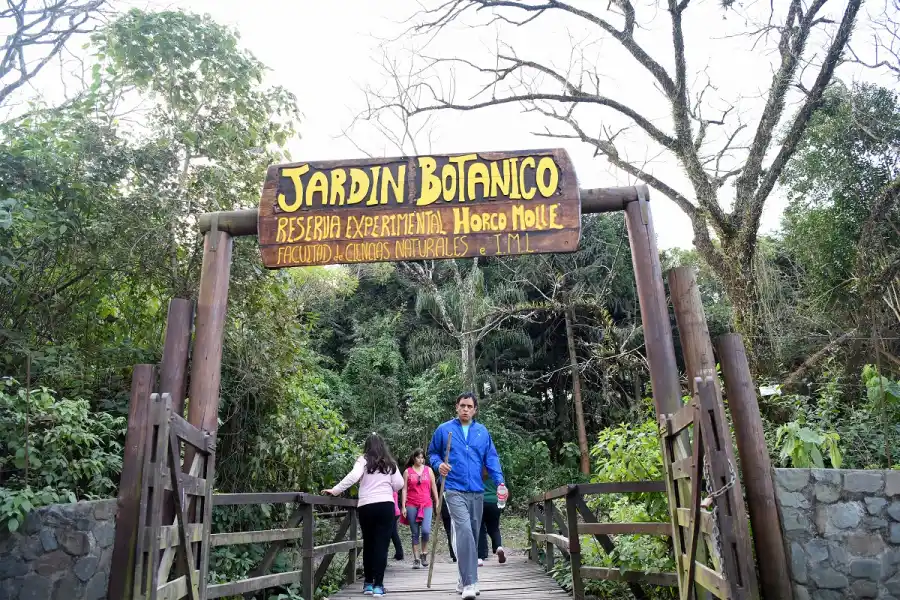 Salidas para chicos que aman la naturaleza y la adrenalina