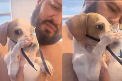 Tunico: la conmovedora historia del perrito que se hizo viral por sostener un nebulizador con sus patas