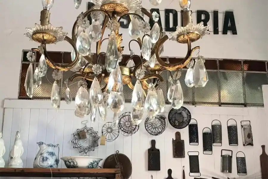 “Pasado pero no pisado”: El universo vintage de Sole Benvenuto