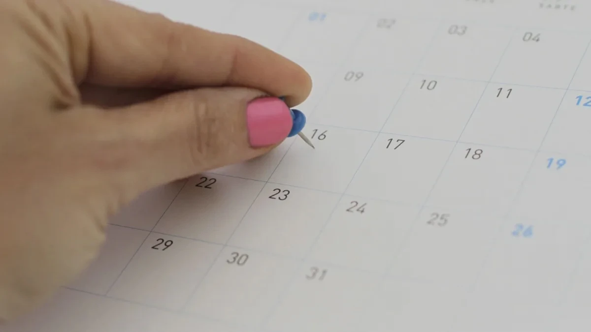 Feriado del 16 de julio en Chile: ¿qué se conmemora y cómo funcionarán los comercios?