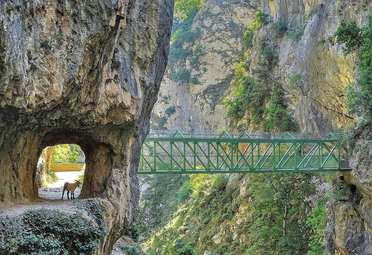 ¿Dónde hacer senderismo en España este verano? Estas 5 rutas te sorprenderán