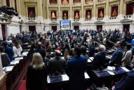 Hospital Garrahan: dos diputados tucumanos se ausentaron al momento de la votación