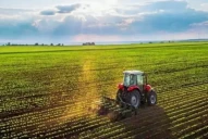 Duro documento de la Sociedad Rural de Rosario por la asfixiante presión impositiva