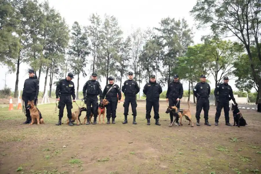 DIVISIÓN K-9. En Tucumán hay 14 oficiales especializados que trabajan con los perros del Centro de Cinotecnia.