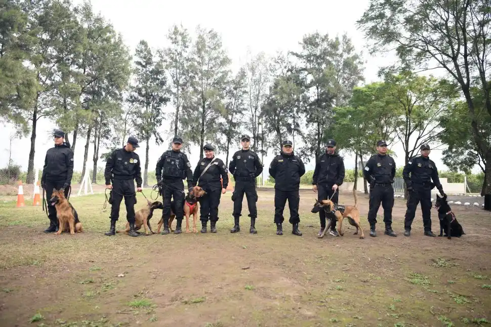 DIVISIÓN K-9. En Tucumán hay 14 oficiales especializados que trabajan con los perros del Centro de Cinotecnia.