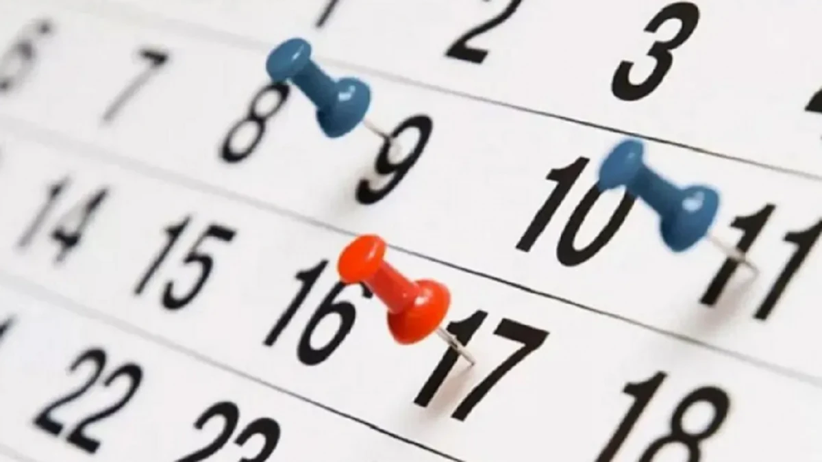 Feriados de agosto de 2025: ¿cuándo será el próximo fin de semana largo?