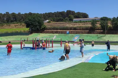 El paraíso de los peludos: así es el único parque acuático para perros de España