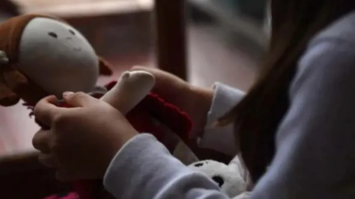 Canasta de crianza en Argentina: ¿cuánto dinero se necesitó en junio de 2025?