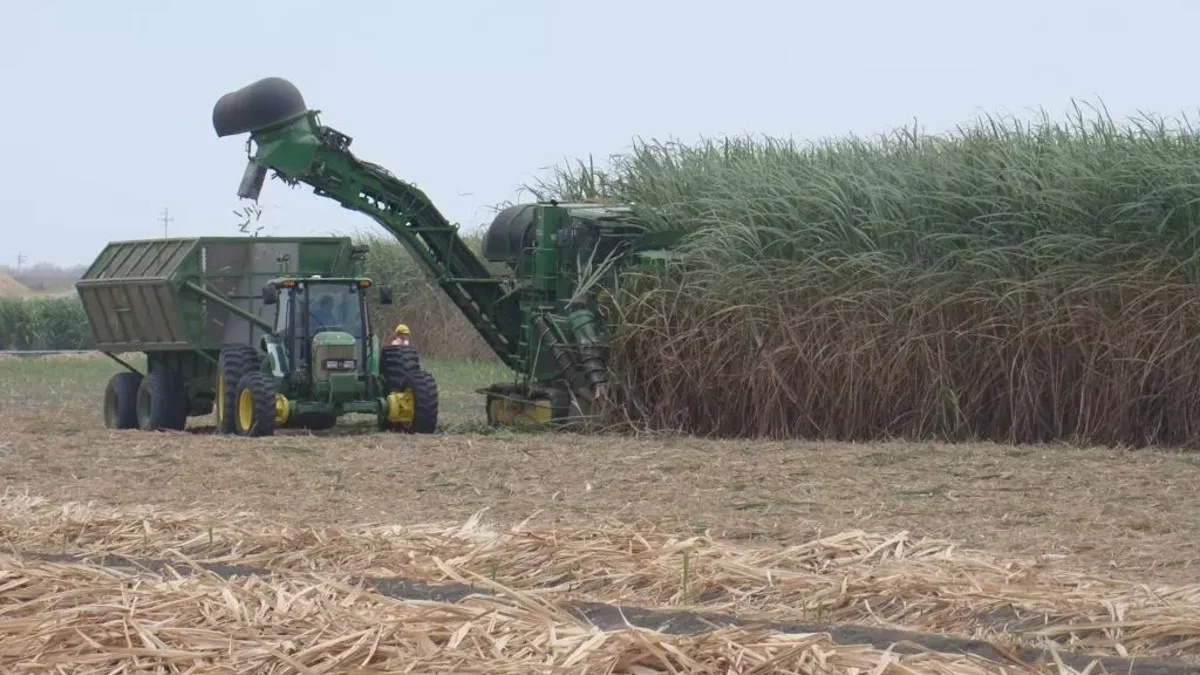 Dimes y diretes de la política: medidas para el sector cañero, lujos para funcionarios y el cierre de Vialidad Nacional