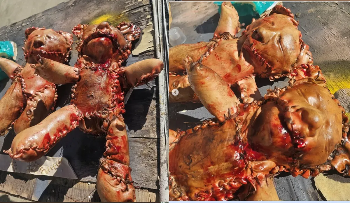 Un oso de peluche hecho con piel humana falsa causa pánico en California: era una obra de arte