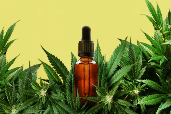 Por ser potencialmente peligrosos, Anmat prohibió aceites de cannabis y un producto estético inyectable