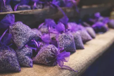 ¿Mala vibra en casa? El Feng Shui recomienda usar lavanda y estos son los mejores lugares para colocarla