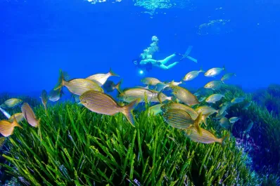 La ruta de buceo que no querrás perderte en la Región de Murcia