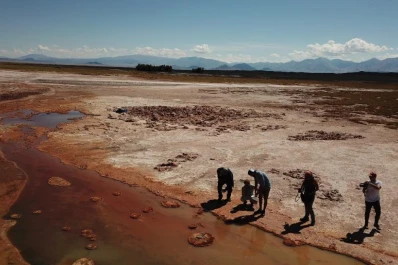 Una startup con base en Tucumán cautivó a la Fundación Gates