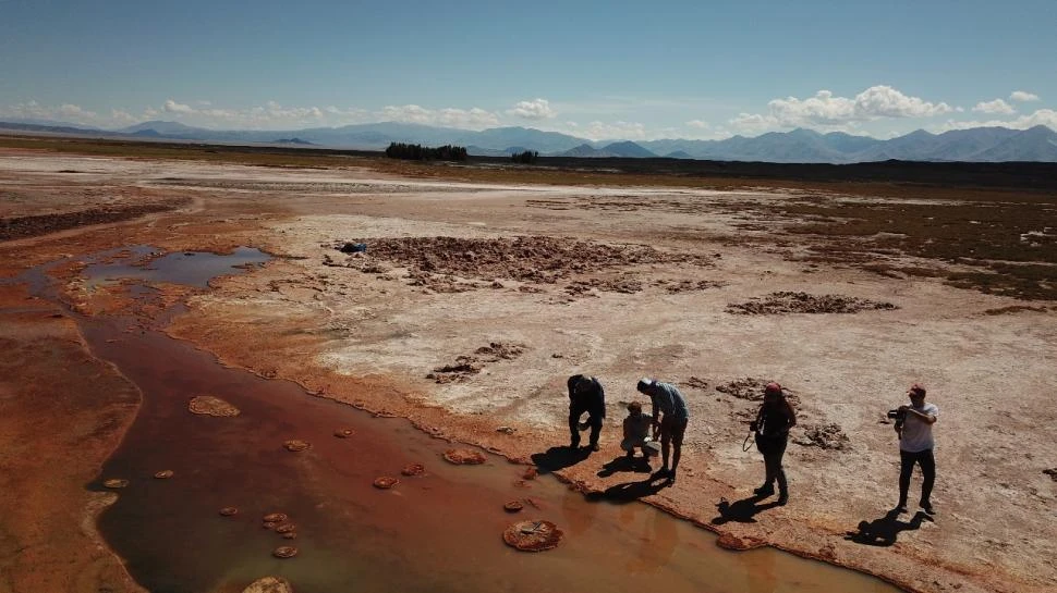 DESDE TUCUMÁN. Puna Bio lidera el proyecto que trabajará con la Fundación Gates dentro de unos meses.
