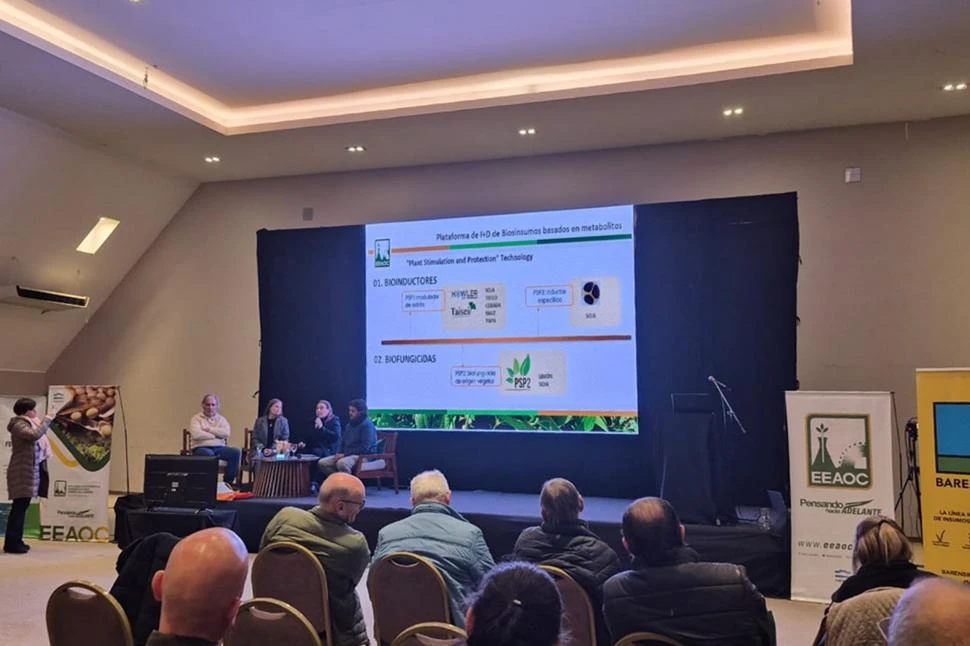 CIERRE DE LUJO. El taller organizado por la Eeaoc finalizó con una mesa panel de la cual participaron José Sánchez (también, moderador), Juliana Bleckwedel, Nadia Chalfoun y Alejandro Perticari.